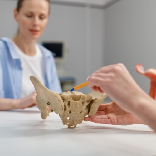 pelvic-floor-rehab-Suncare-therapy-inc-miami-lakes-miami-fl-1